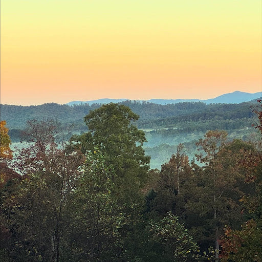 Steeped in the Mountains: Tea, Botanicals, and Appalachian Craft